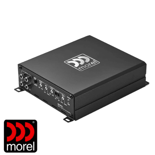 מגברים MOREL